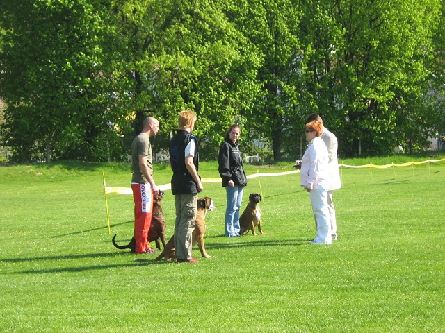 www.atibox.net * www.euroboxer.eu * www.boxergenealogia.eu